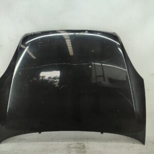 Capo Fiat Linea 2009
