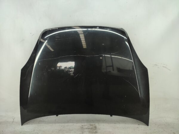 Capo Fiat Linea 2009